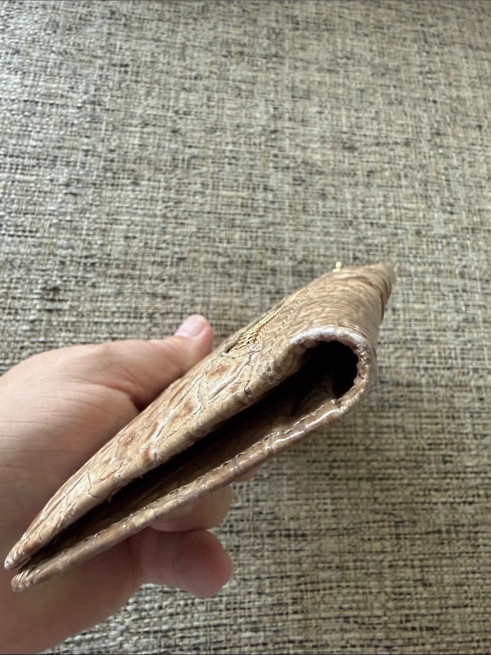 Brahmin gently used