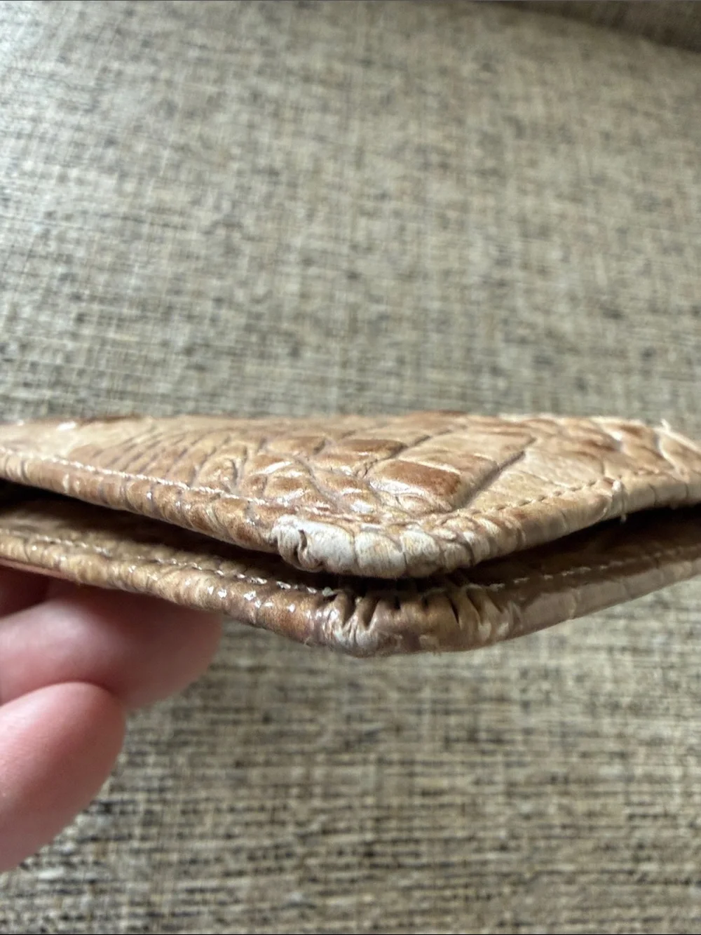 Brahmin gently used