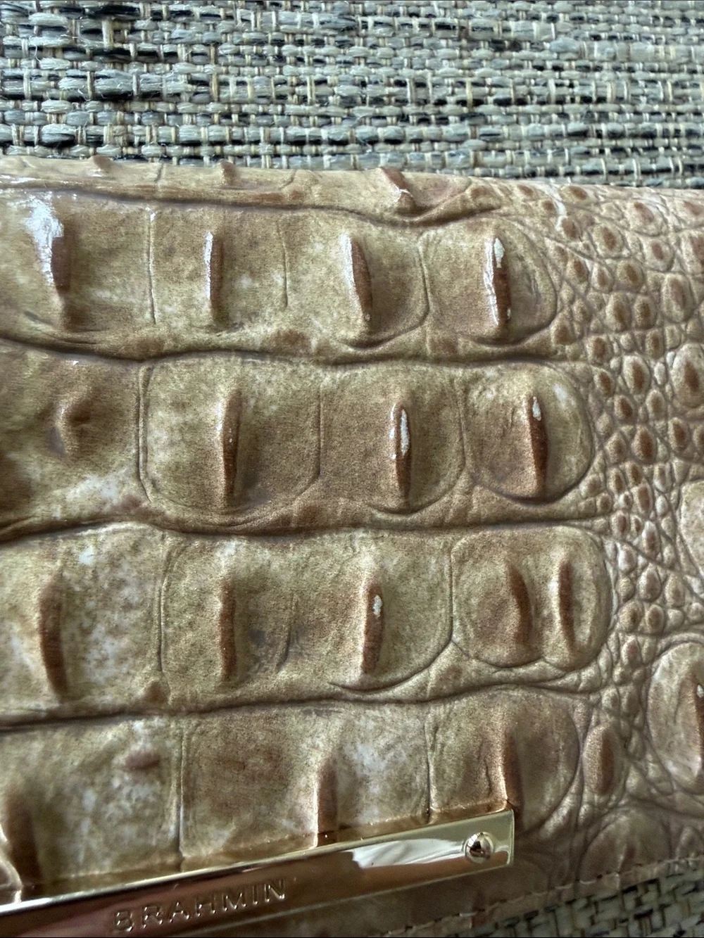 Brahmin gently used