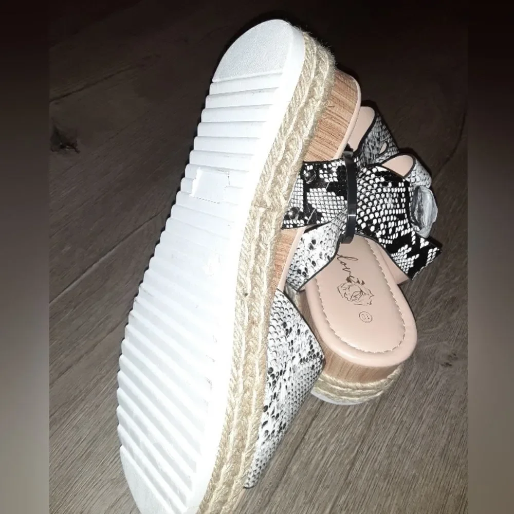 Amazon brand new