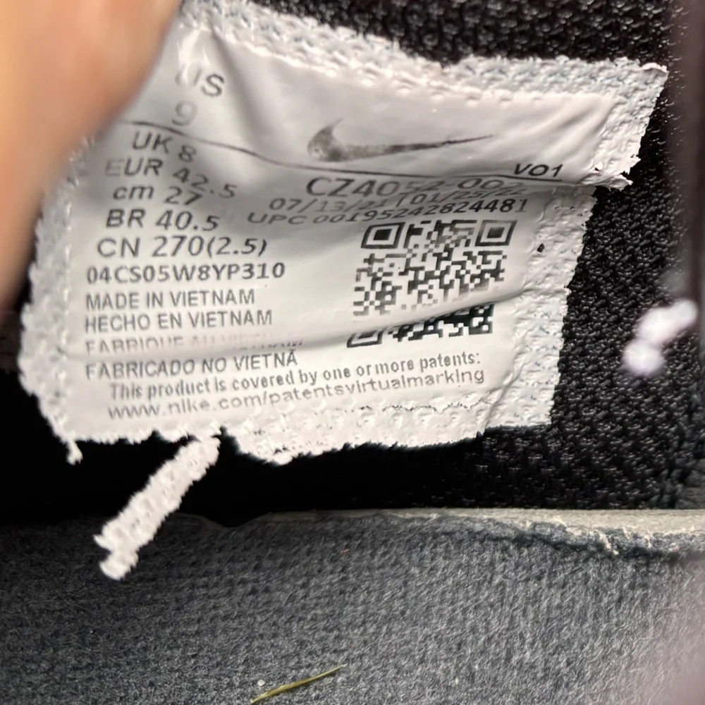 Nike lebron witness