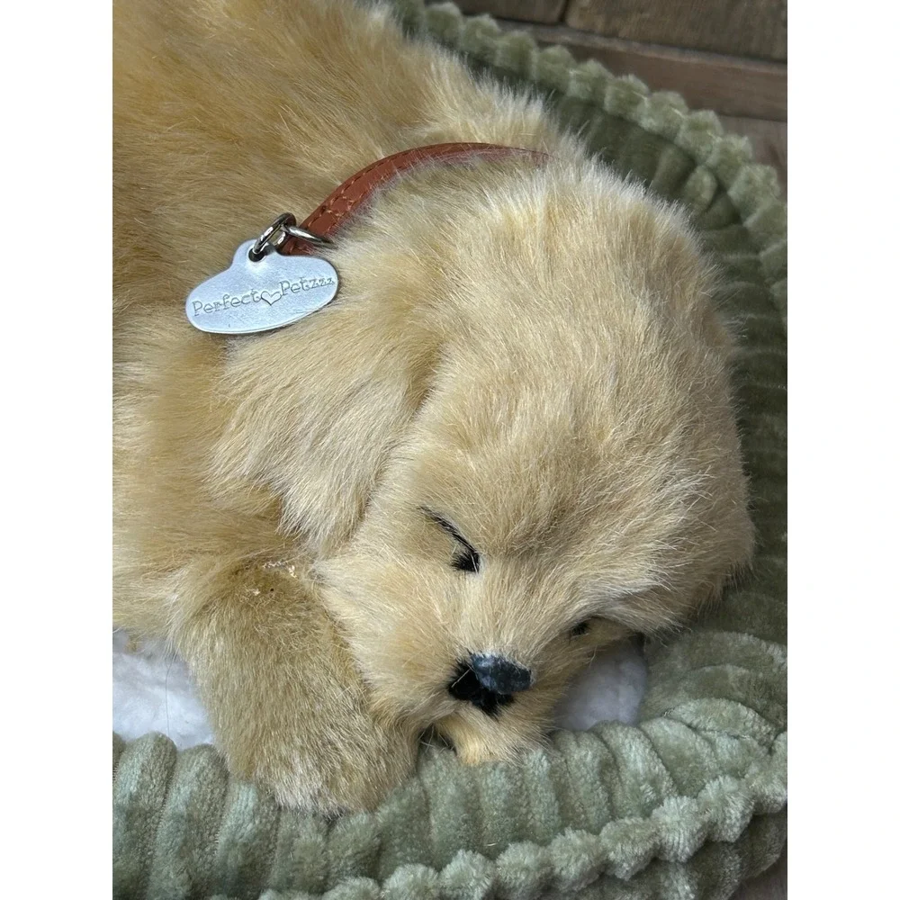 Perfect Petzzz perfect petzzz