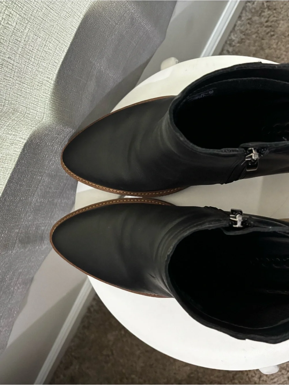 Ecco worn maybe