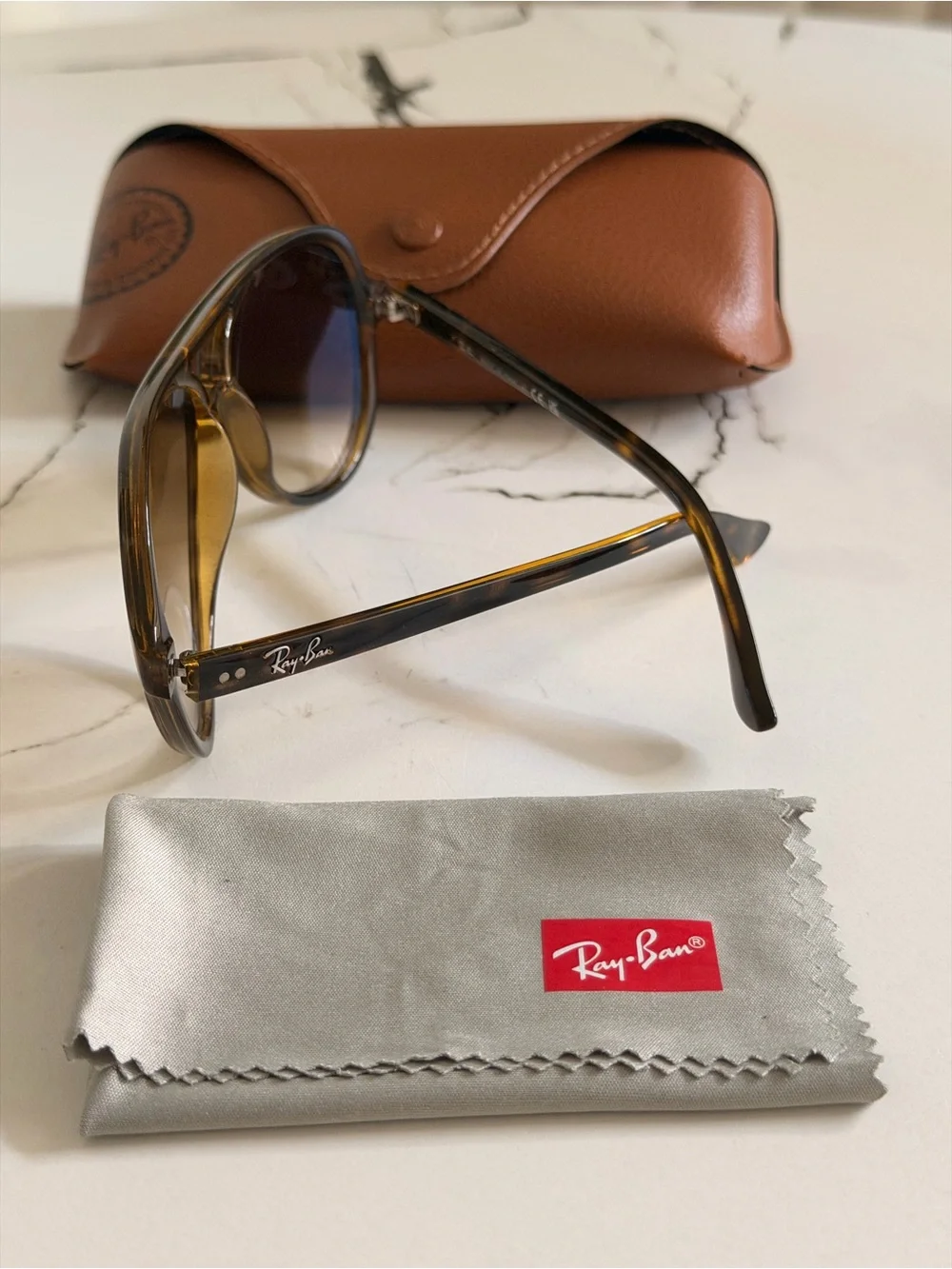 Ray-Ban ban cleaning case