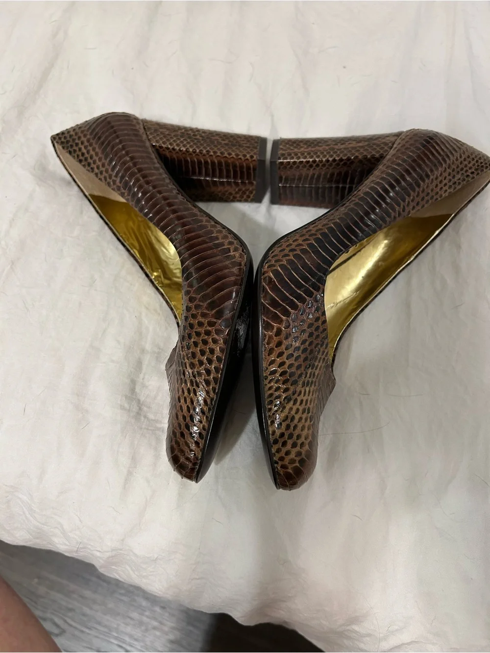 BCBGirls elegant snake