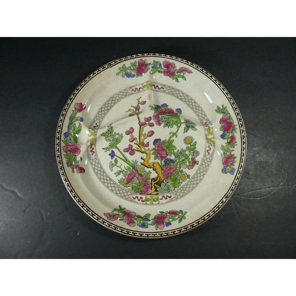 Vintage Booth's Indian Tree Divided Picnic Plate 10 5/8