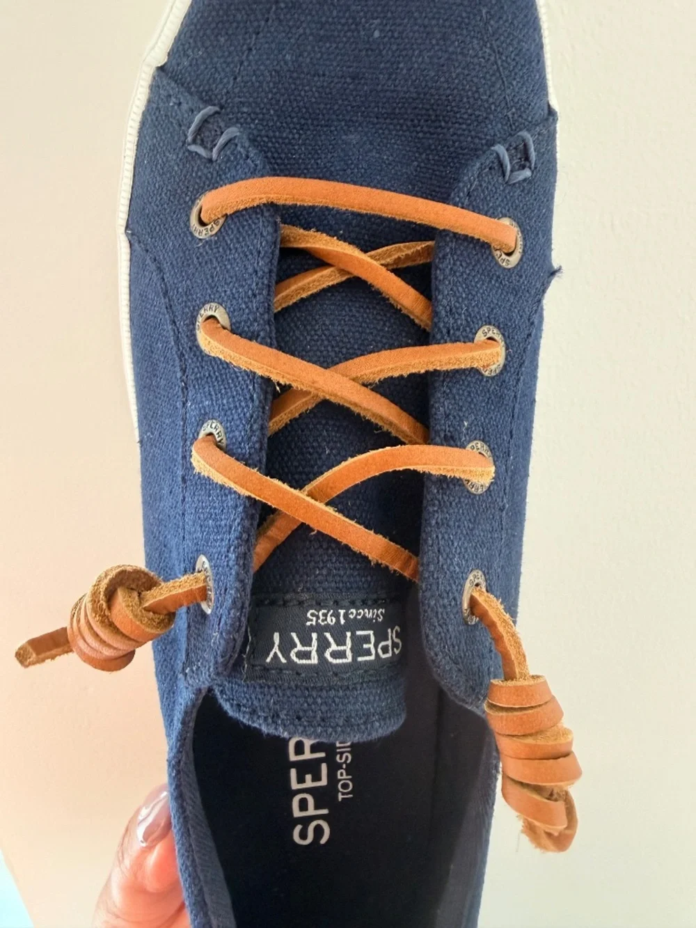 Sperry have not