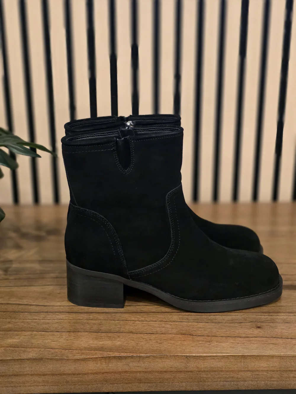 Blondo classic suede