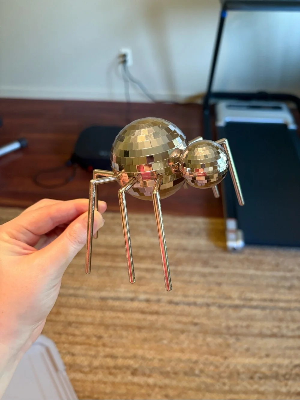 Disco Ball Spider