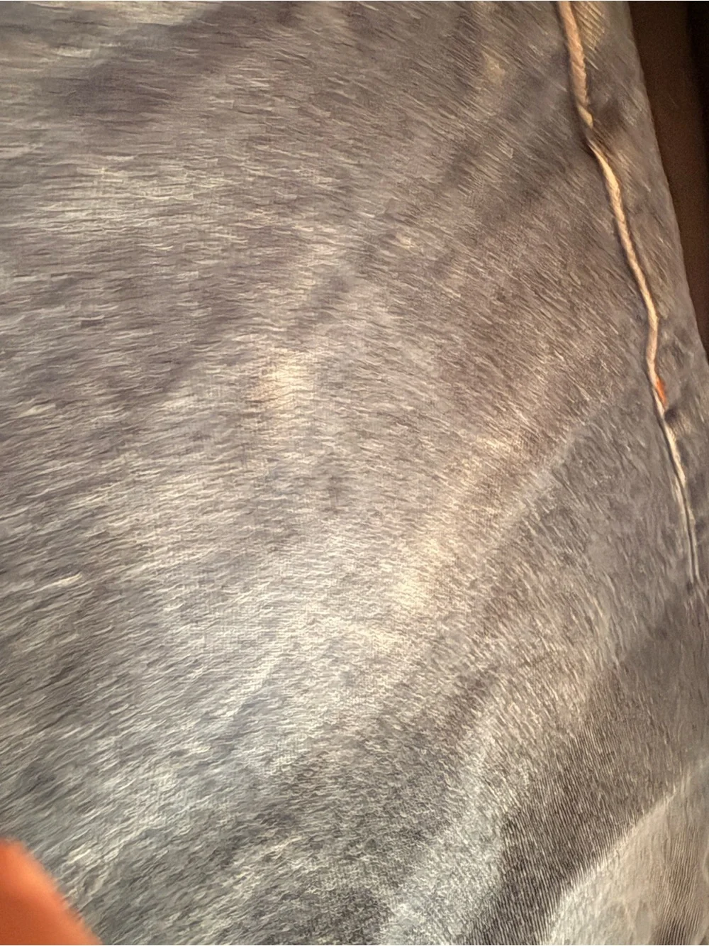 The Unbranded Brand classic straight