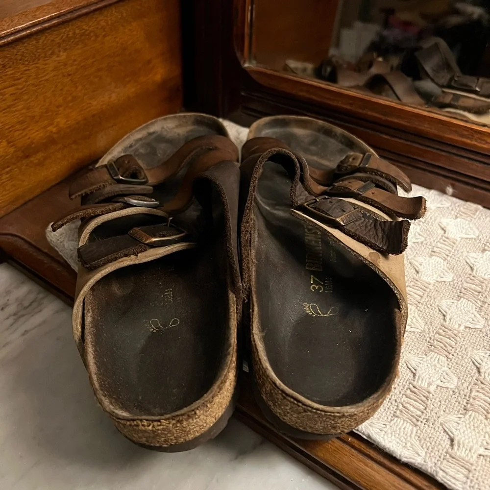 Birkenstock classic florida