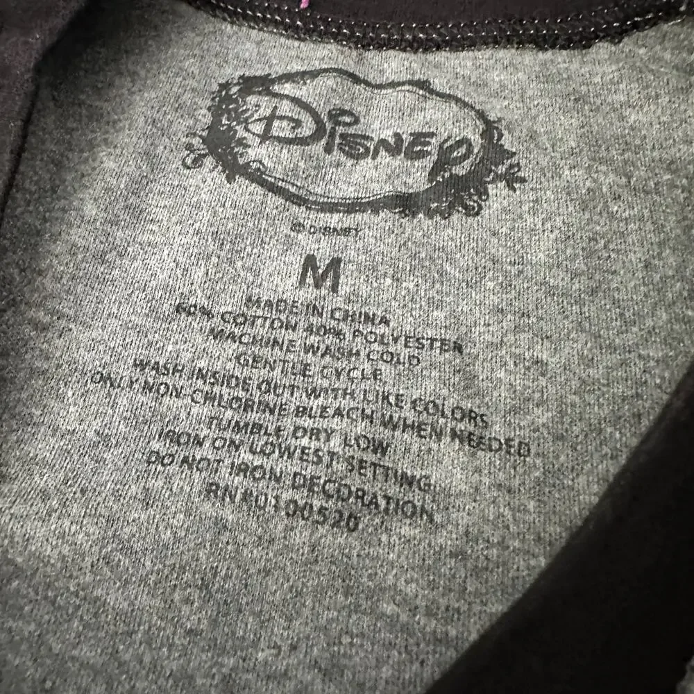 Disney description ships