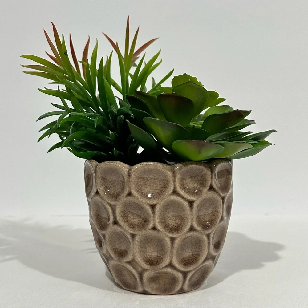 N/A faux succulents