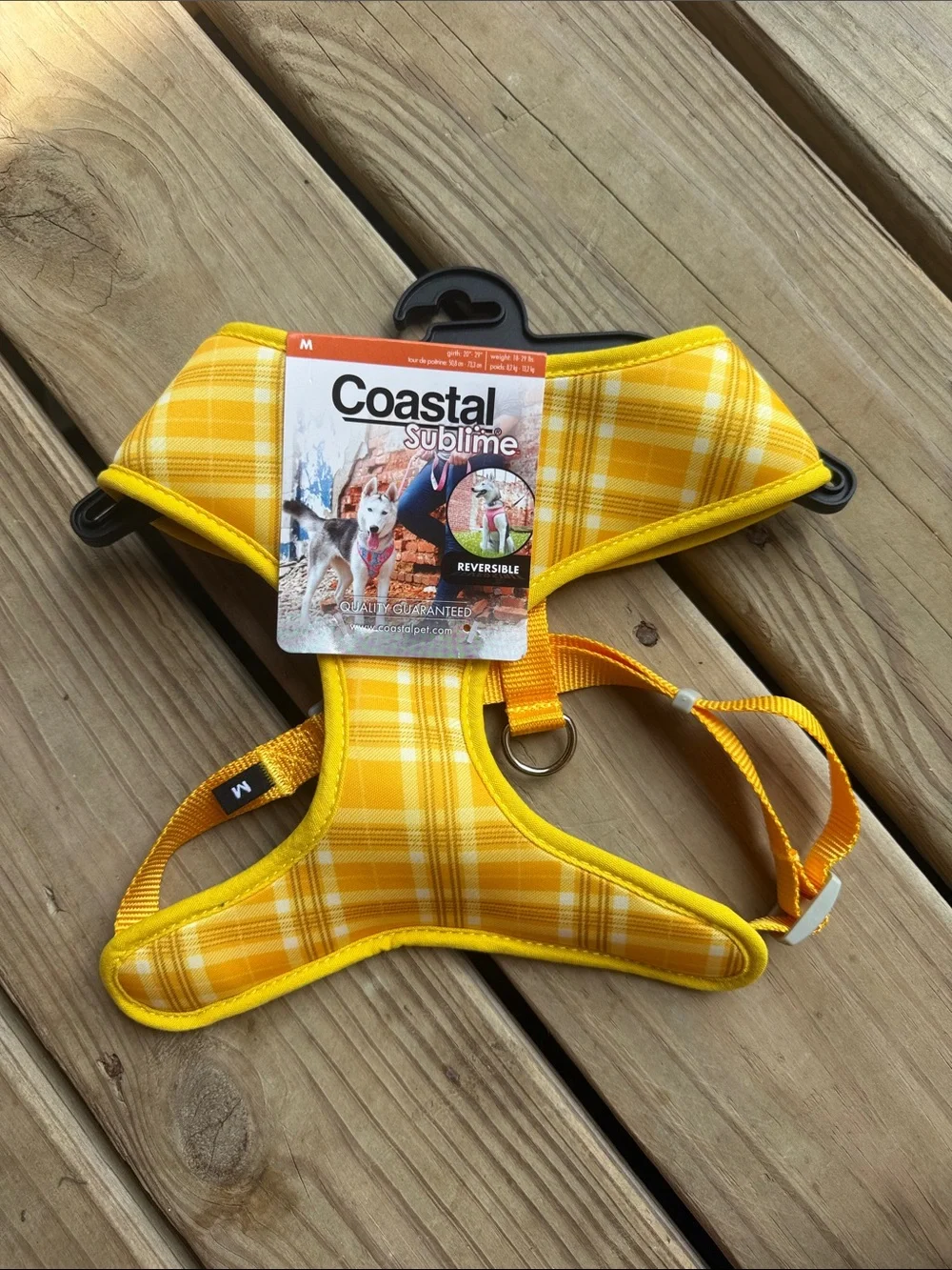 Coastal pet sublime