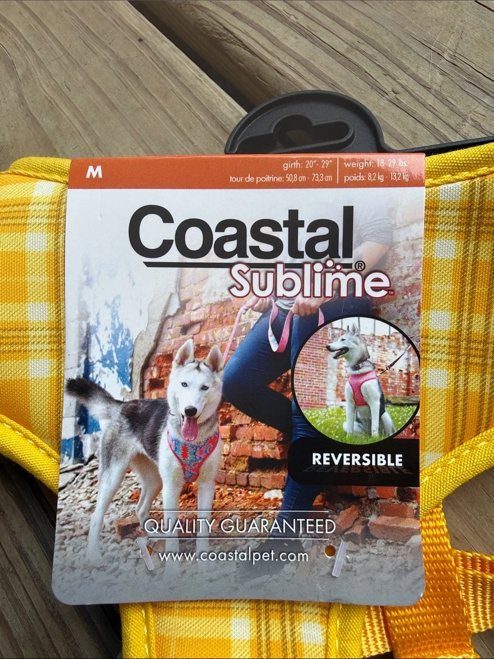 Coastal pet sublime