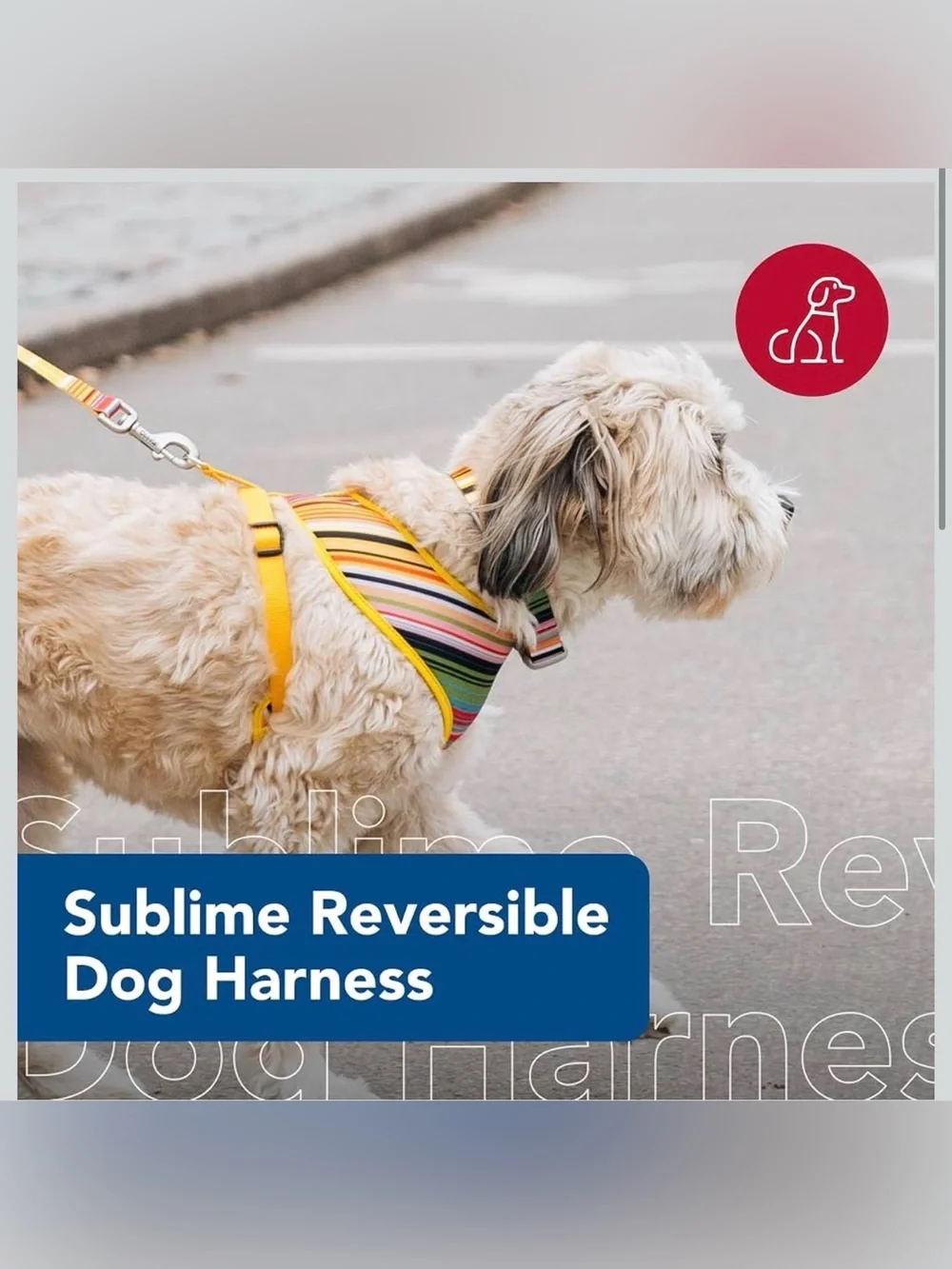 Coastal pet sublime