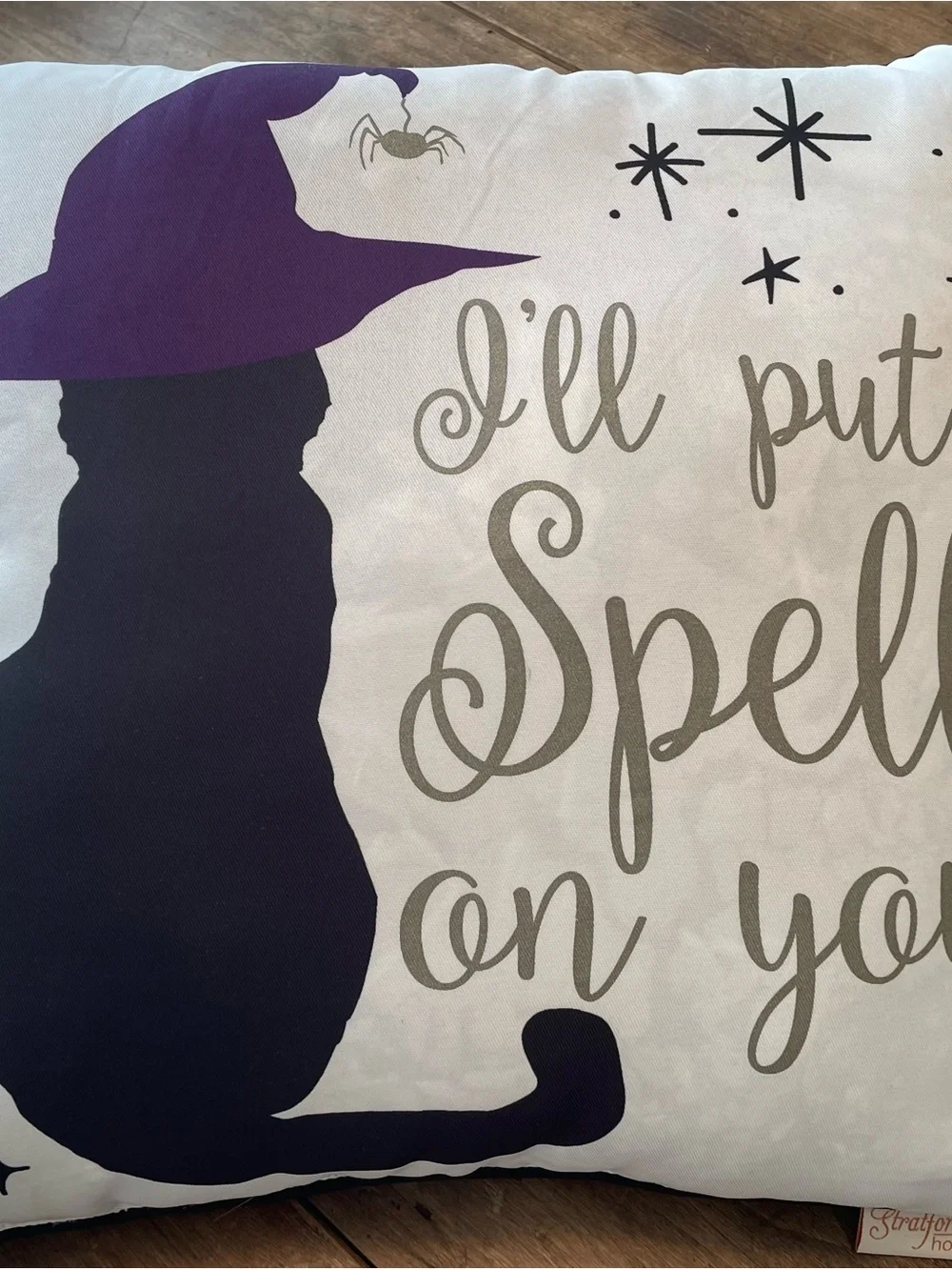 Decorative Halloween Pillow ' I Will Put a Spell on You', 18