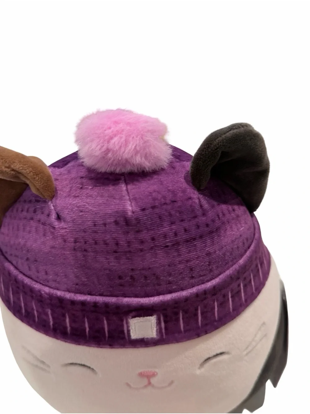 Squishmallows authentic cam