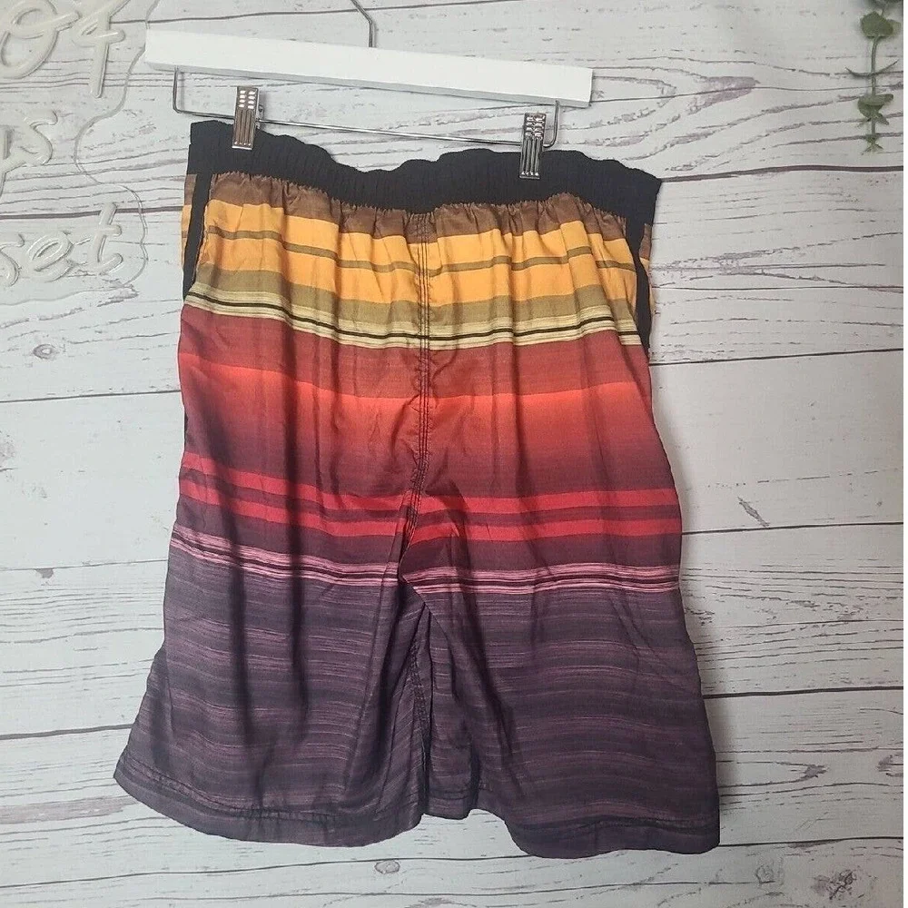 Speedo horizon ombre