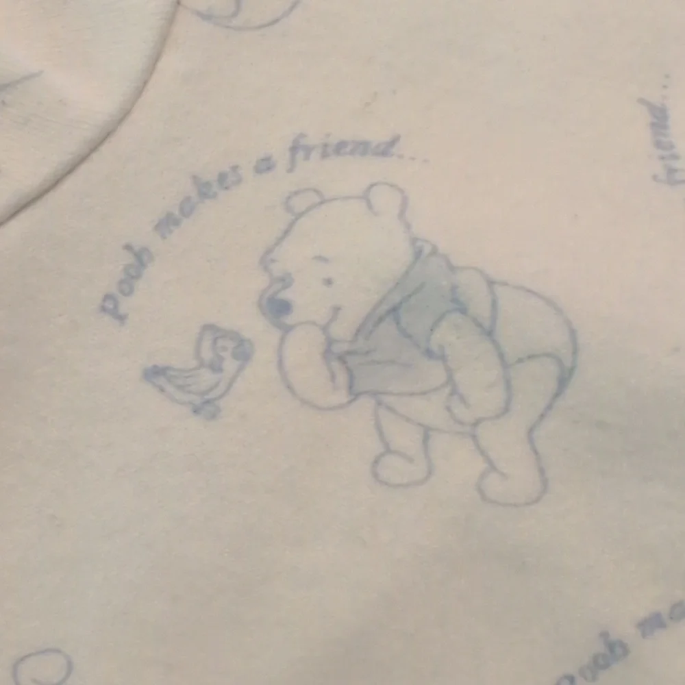 Disney winnie pooh