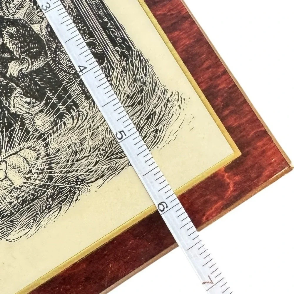 Lauren Ford measurements height
