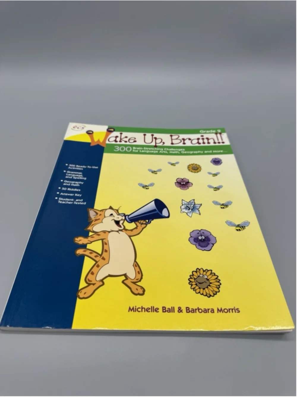Wake Up Brain Grade 2 Activity Workbook Michelle Ball Barbara Morris Homeschool