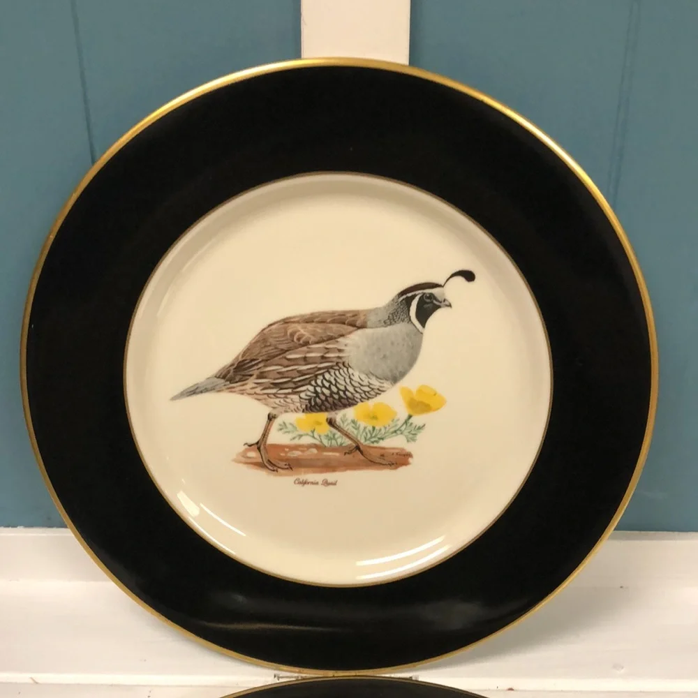Vintage great used