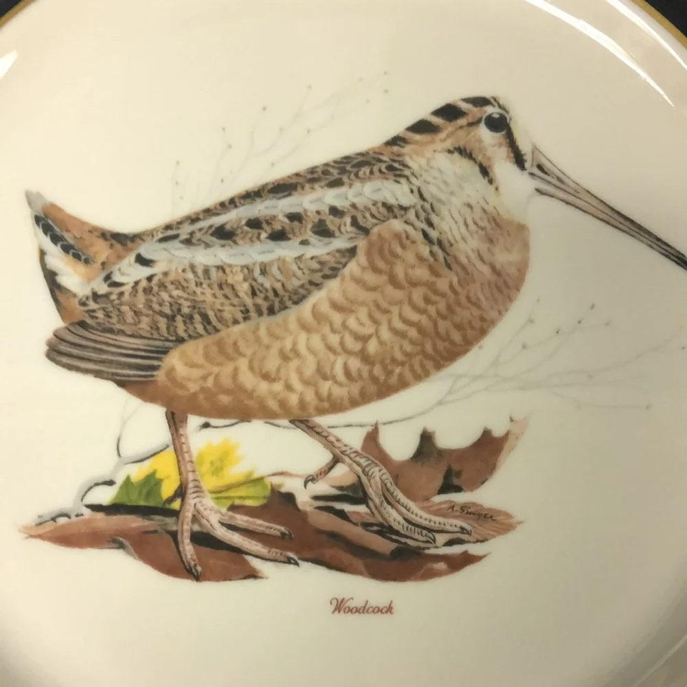 Vintage great used