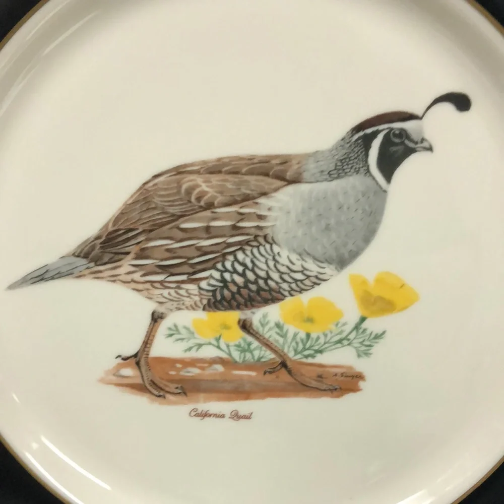 Vintage great used