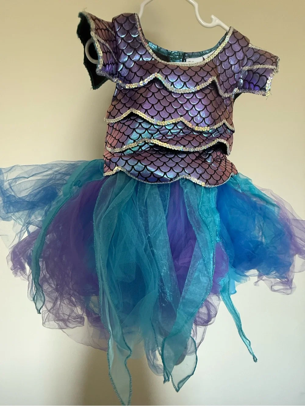 Gillian’s closet Fish costume