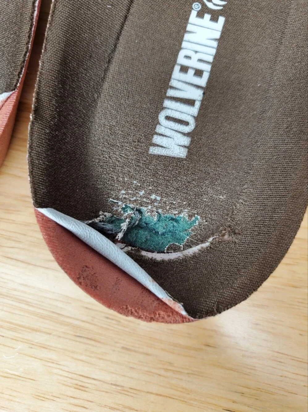 Wolverine moderate overall