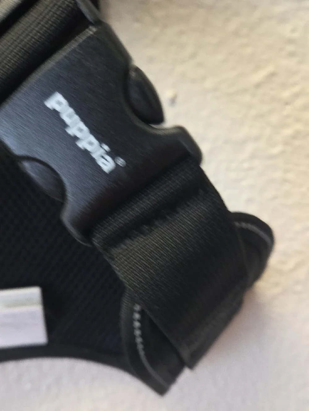 Puppia branded black