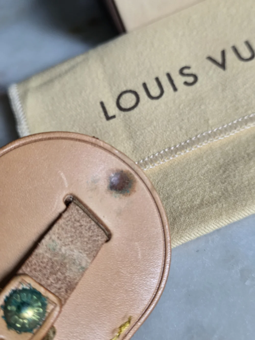Louis Vuitton authentic louis