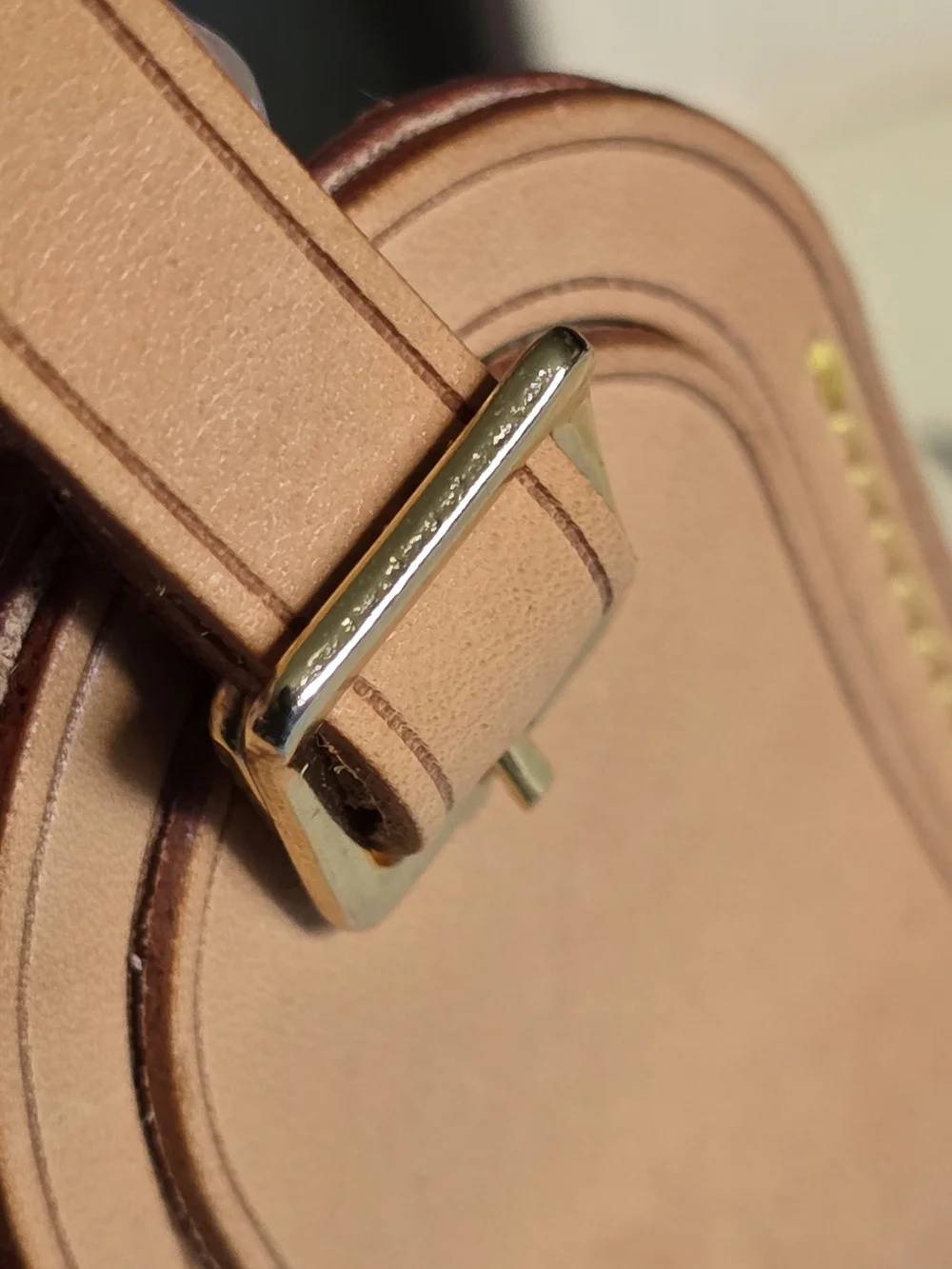 Louis Vuitton authentic louis