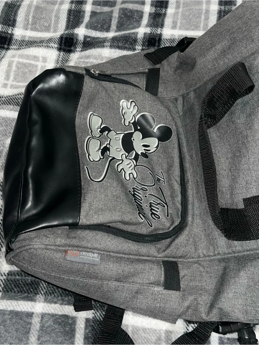 Disney mickey mouse