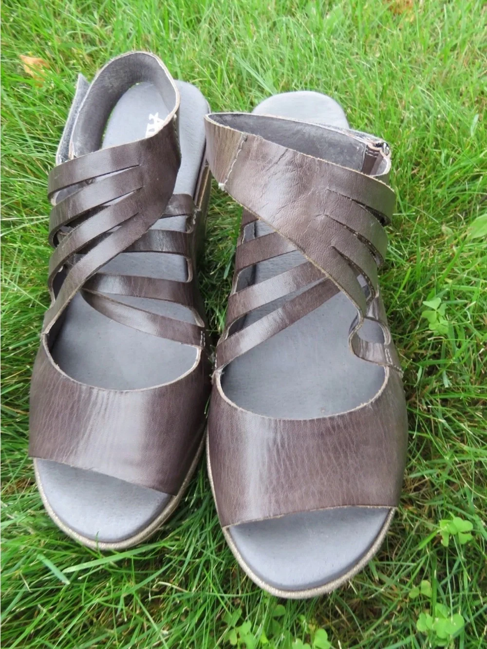 Antelope platform wedge
