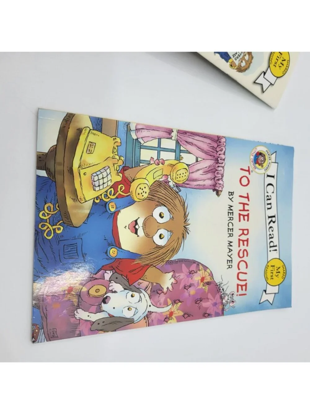 Scholastic little critter
