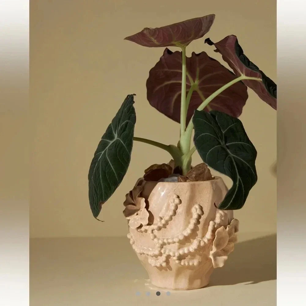 Anthropologie Corale textured jar candle sol tobac floral beige large 3D planter