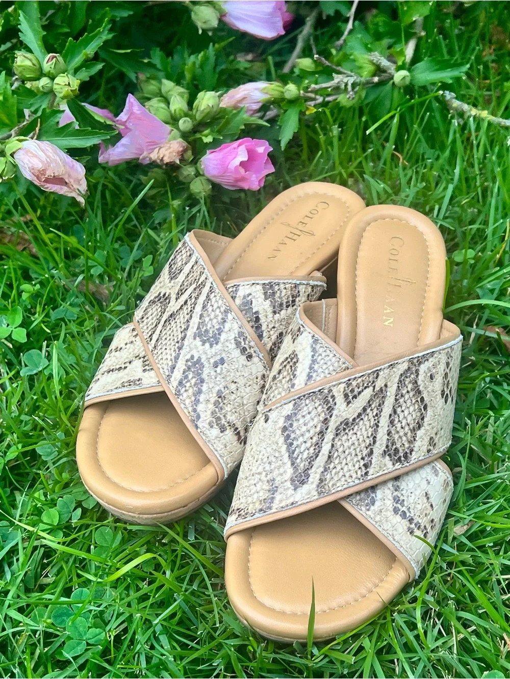 N/A cole haan