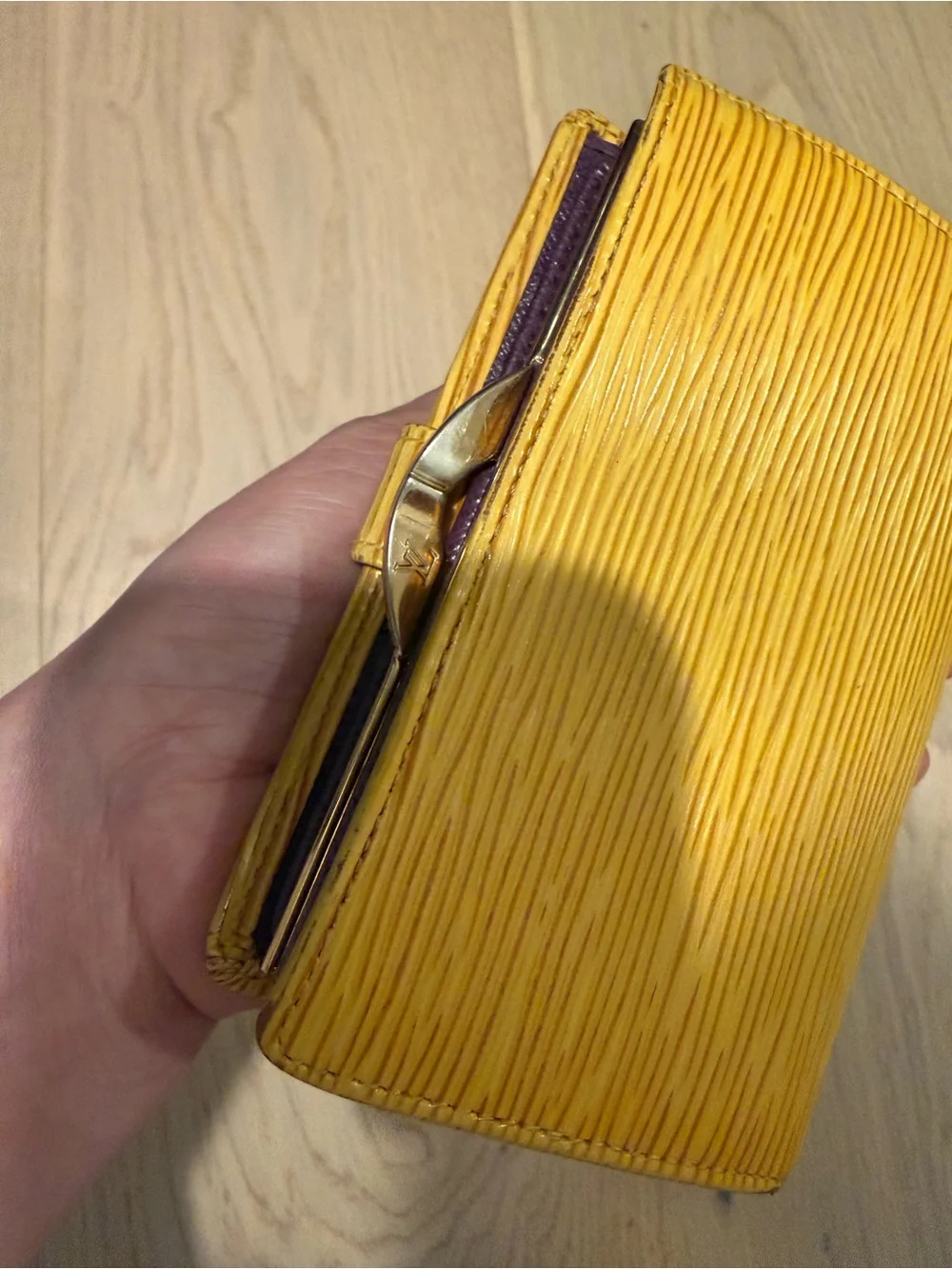 Louis Vuitton authentic louis