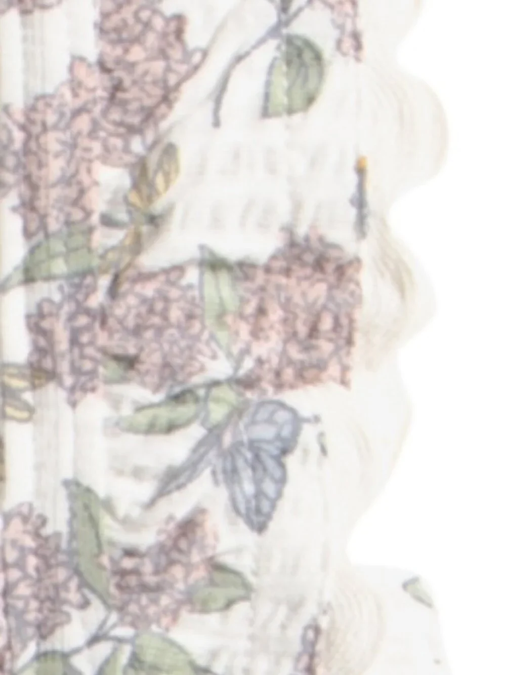 Haute Hippie nwt haute