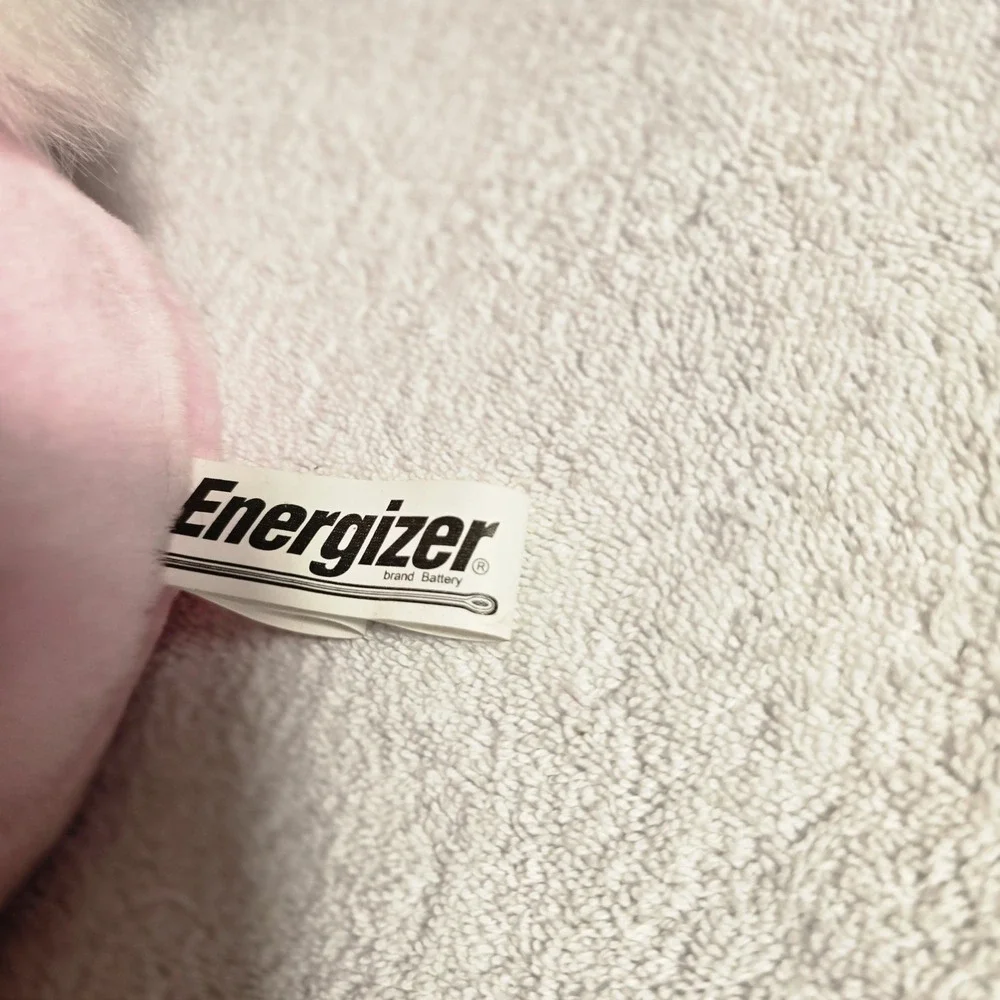 Energizer vintage 1996