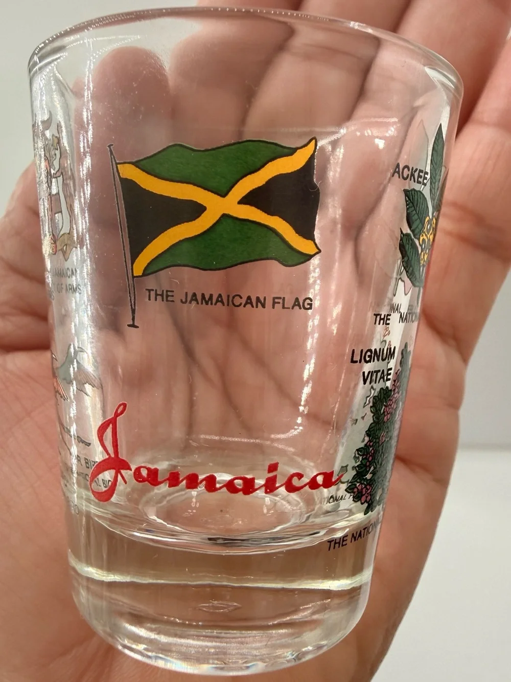 Different brands shot glass