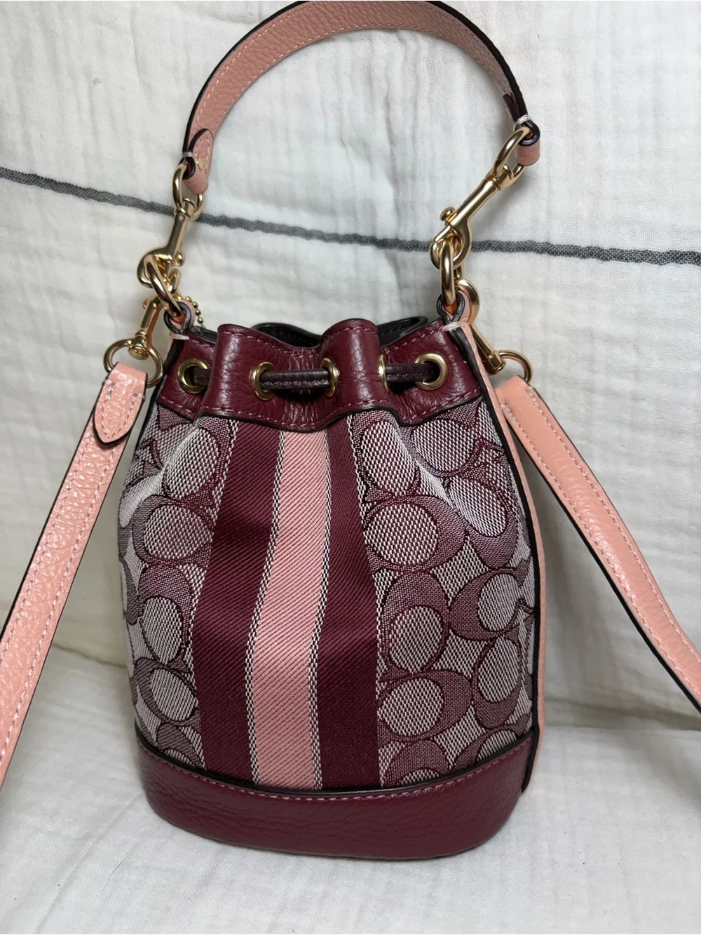 Coach this mini