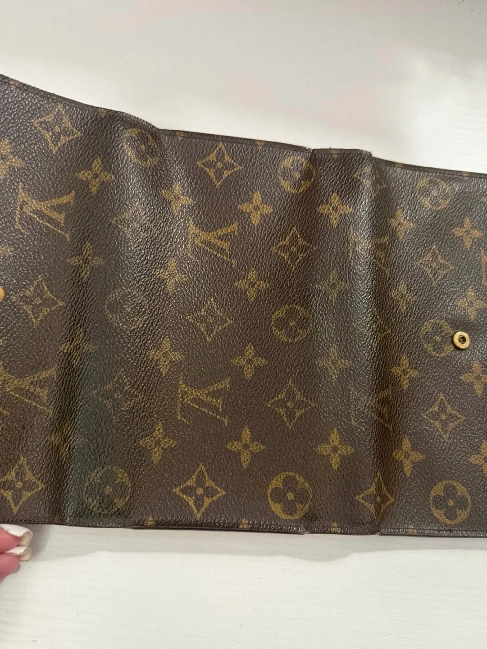 Louis Vuitton authentic louis