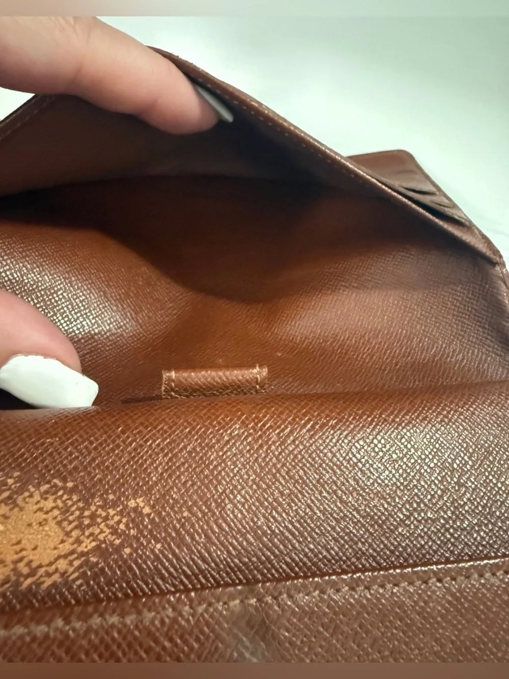 Louis Vuitton authentic louis