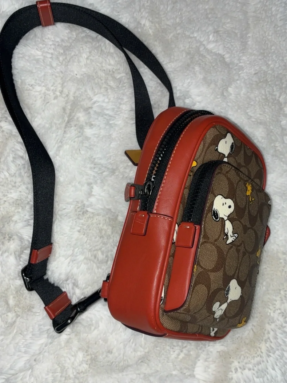 Coach new peanuts