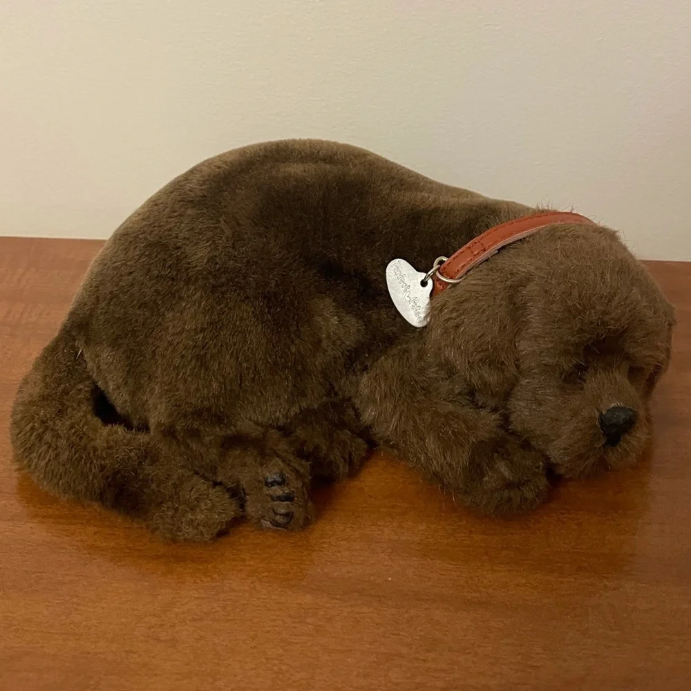 Vintage chocolate lab