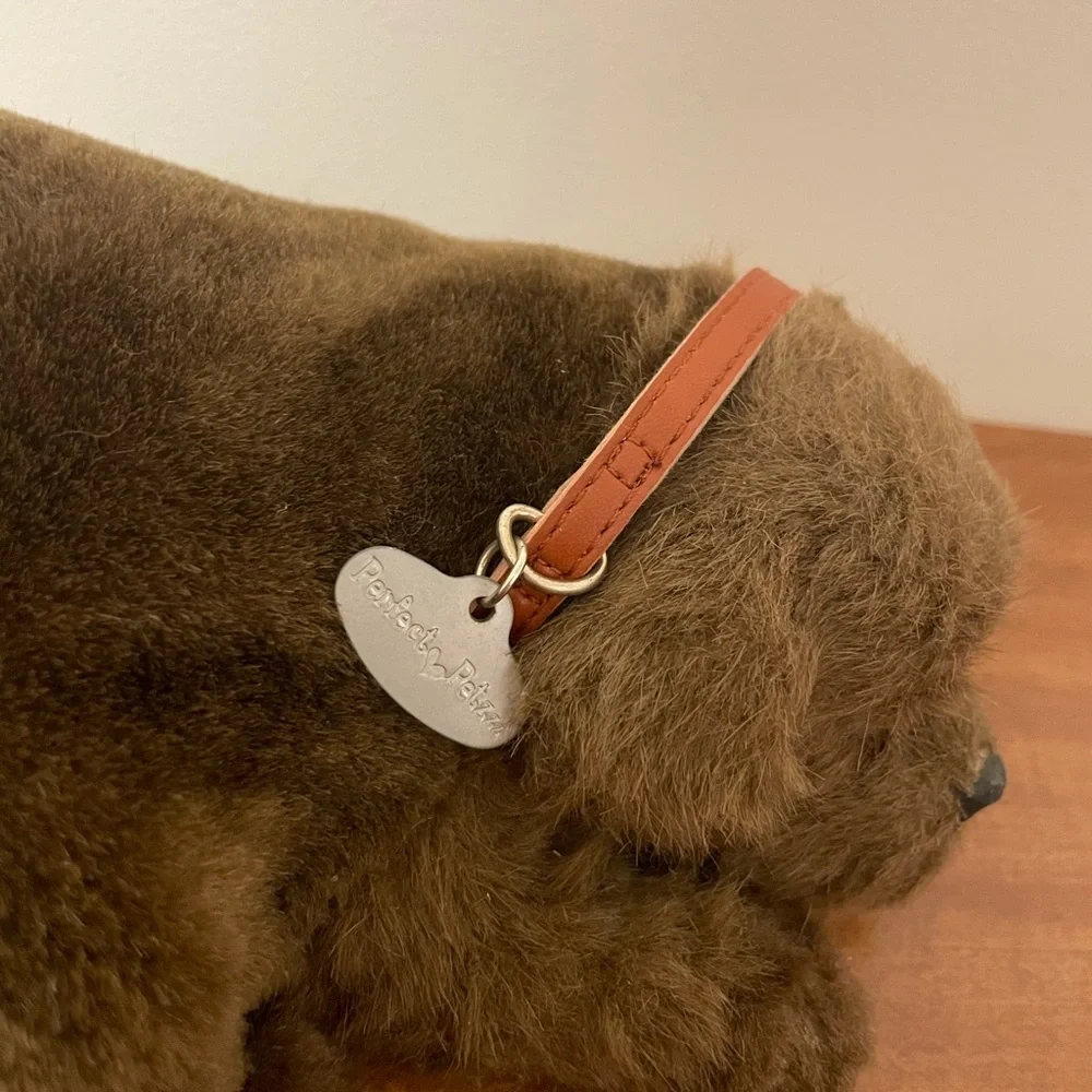 Vintage chocolate lab