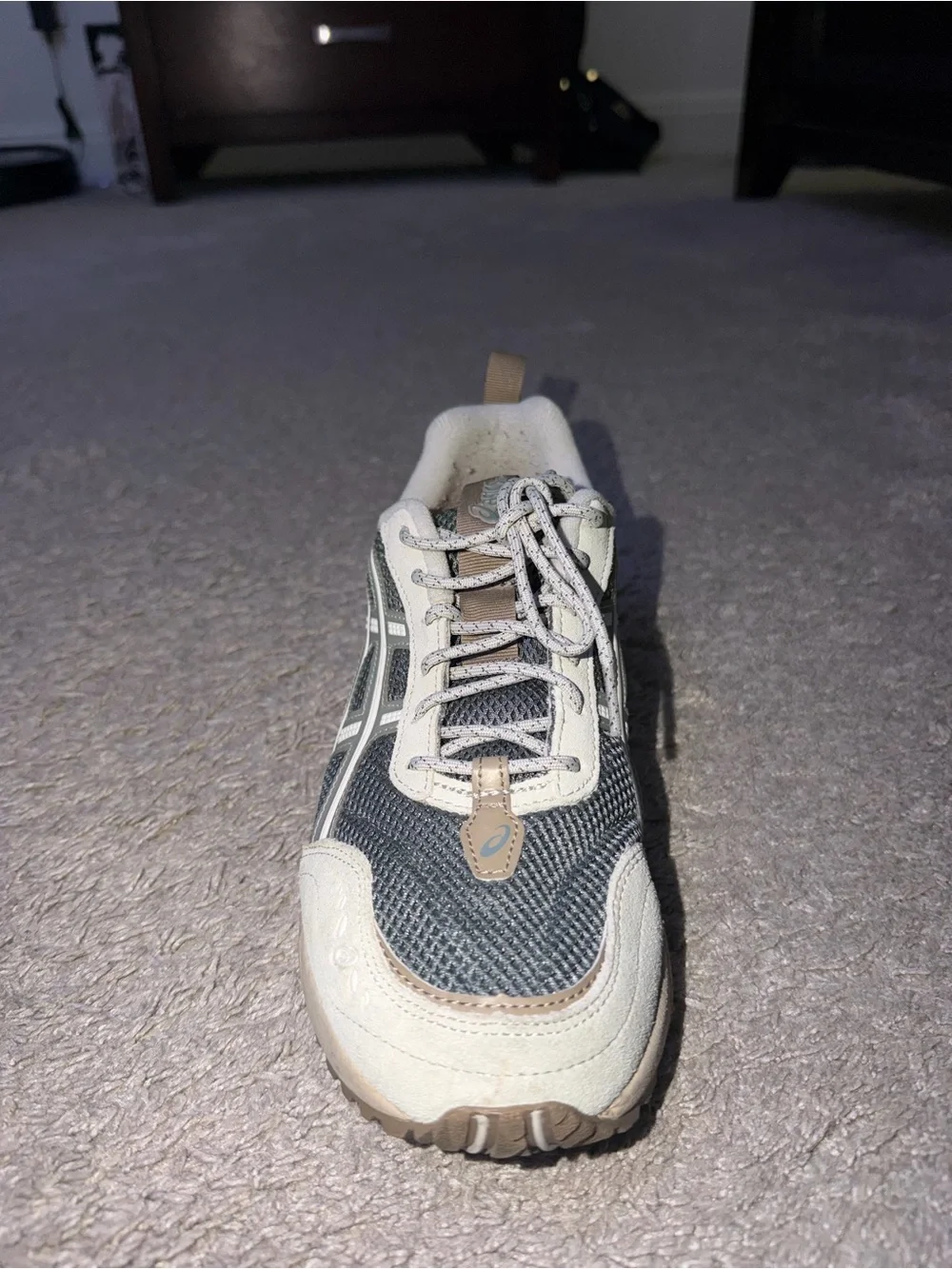 Asics gel 1090v2